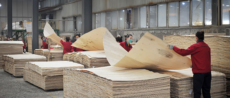 人造板力學性能的高精度測試